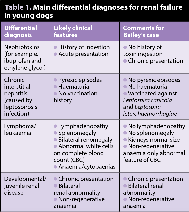 Table 1. Main differential diagnoses for renal failure in young dogs