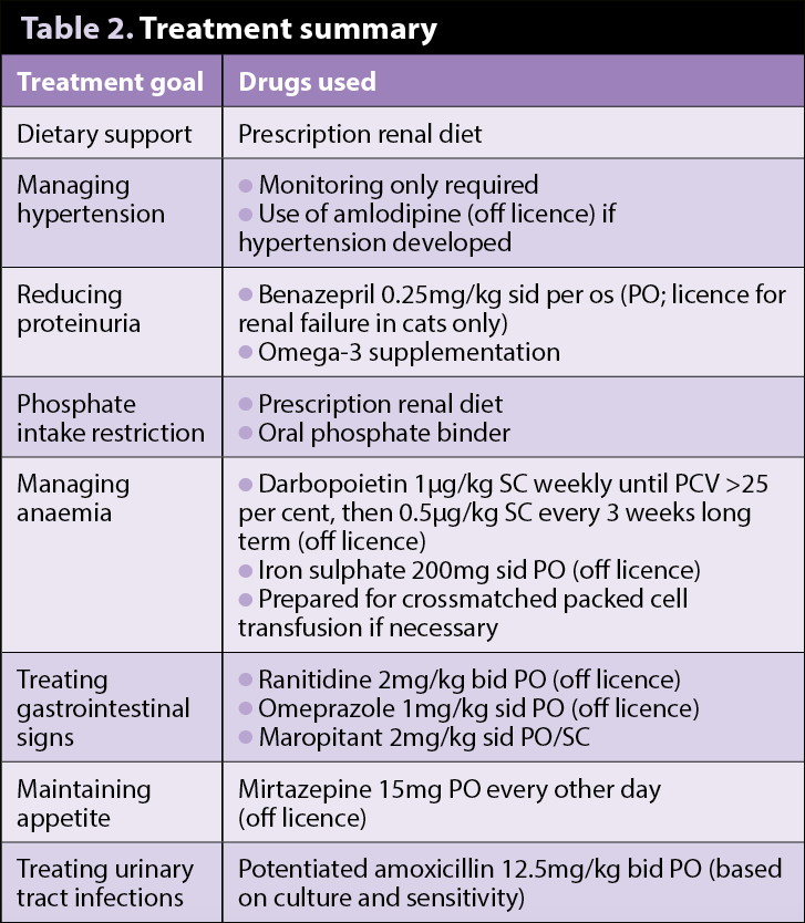 Table 2. Treatment summary