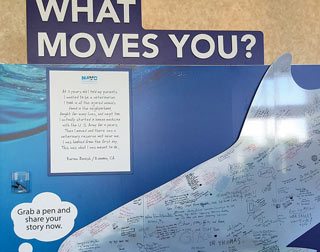 Delegates were encouraged to write their motivational stories about what moved them on the NAVC whale board.