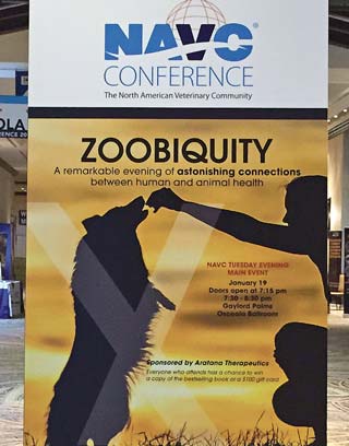 Zoobiquity is a relatively new concept opening up huge potential in the understanding and development of new models for disease care.