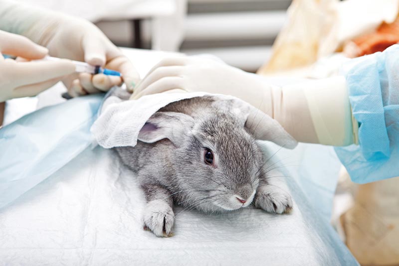 Image: © Fotolia/NiDerLander.