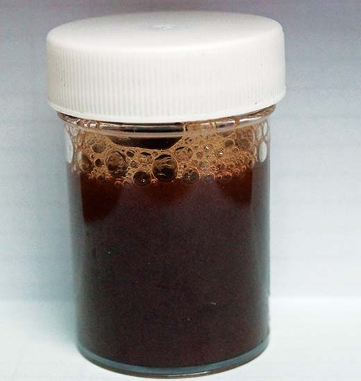 Figure 4. Dark red/brown urine from a horse with atypical myopathy. Pigmenturia is the most reliable sign of the disease.