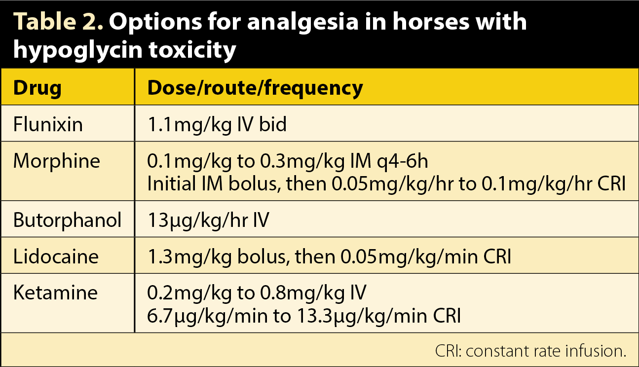 Table 2. Options for analgesia in horses with hypoglycin toxicity