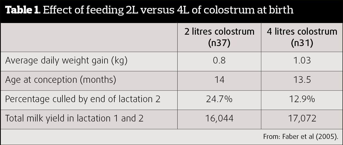 Table 1. Effect of feeding 2L versus 4L of colostrum at birth. From Faber et al (2005).