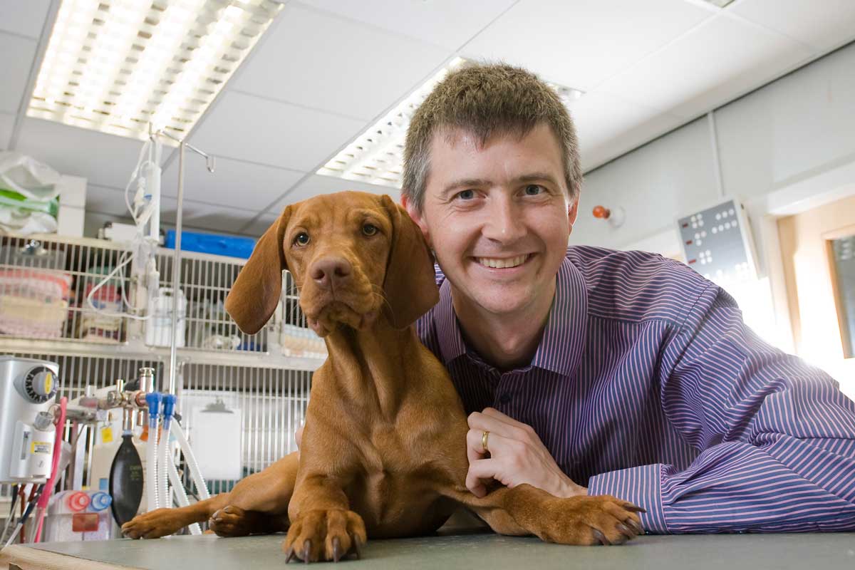 Vets Now to open 24hour referral hospital Vet Times