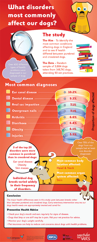 Figure 3. An infographic developed collaboratively between VetCompass and the Medivet Veterinary Partnership outlining common disorders in dogs.