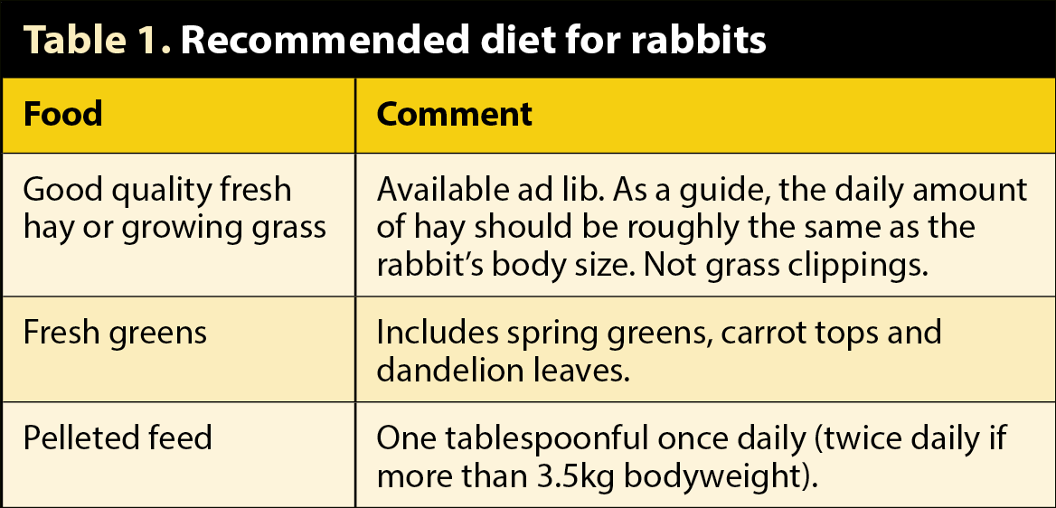 Table 1. Recommended diet for rabbits.