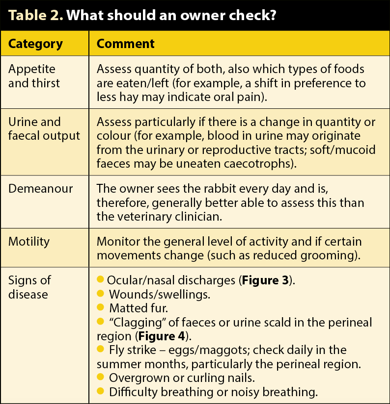 Table 2. What should an owner check?