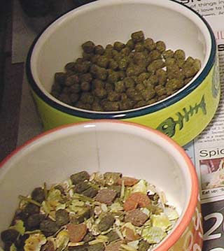 Figure 1. Offer only a small amount of pelleted food. Muesli mixes should not be given to pet rabbits as they permit selective feeding.