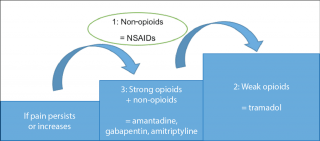 Figure 4. Analgesic ladder, adapted from the World Health Organization.