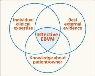 Figure 1. The three pillars of evidence-based veterinary medicine.