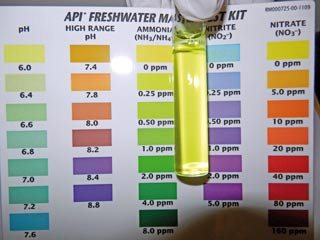 Figures 1a and 1b. Regular (at least monthly) measurement of ammonia and pH will help prompt an increased water change requirement and investigation of the primary cause of the change.