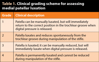 Table 1. Clinical grading scheme for assessing medial patellar luxation.