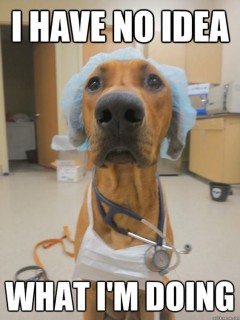 60 Best Vet School Humor 4 Veterinary Students Images In 2020