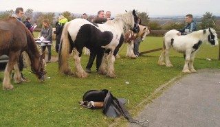 Vet days are an excellent opportunity for the Community Horse and Pony Scheme team to talk with urban horse owners.