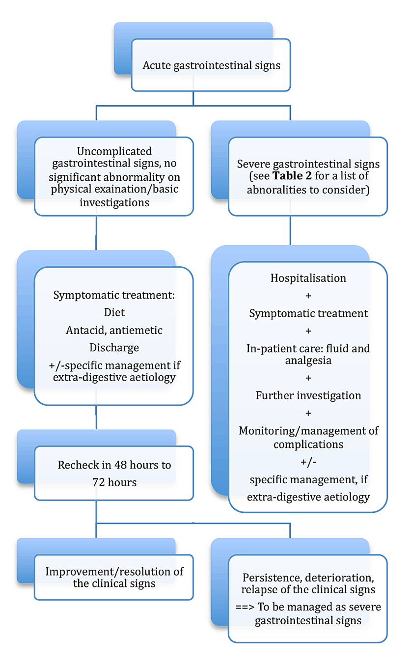 Figure 1. Flow chart outlining the proposed management of acute gastrointestinal disease.