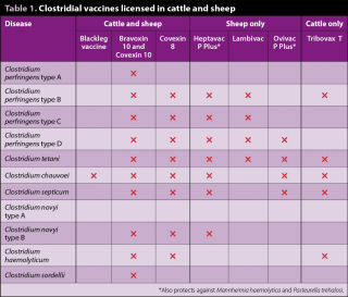 Table 1. Clostridial vaccines licensed in cattle and sheep.