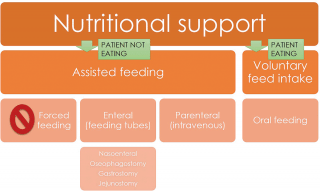 Figure 2. An algorithm to decide the type of nutritional support for each patient.
