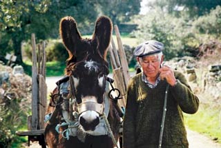 Figure 5. A donkey and owner in Portugal. Image: © Miguel Novoa, AEPGA.