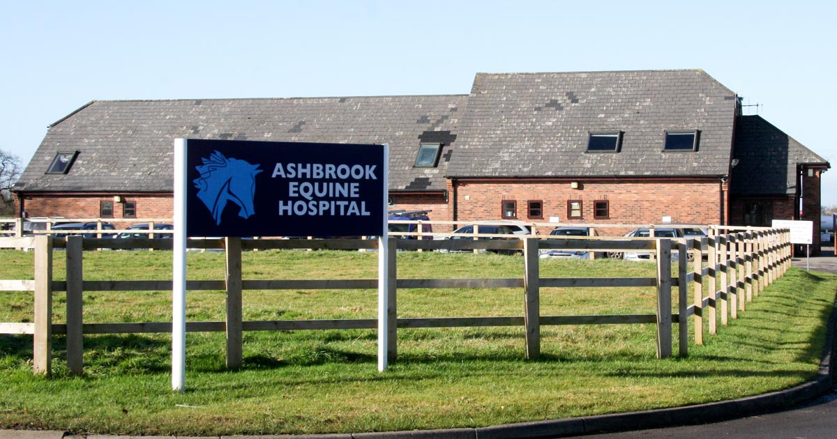 Equine hospital opens its doors to mark milestone Vet Times