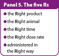 VT46.29-Holmes-Panel5