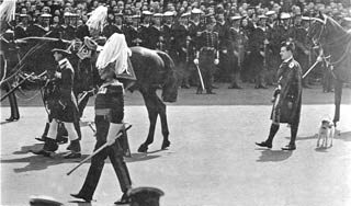 The funeral procession of King Edward VII, featuring his favourite dog Caesar. Image: © Miyagawa/Wikimedia Commons.