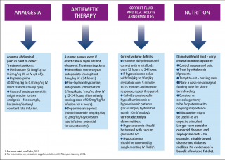 Figure 2. Considerations in the management of pancreatitis.