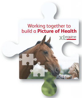 VT4628-Penter-Picture-of-Health-icon