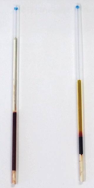 Figure 2. Icteric plasma from a cat (right) and normal plasma (left). The cat was diagnosed with immune-mediated haemolytic anaemia. Notice reduced PCV in comparison to the other tube. 