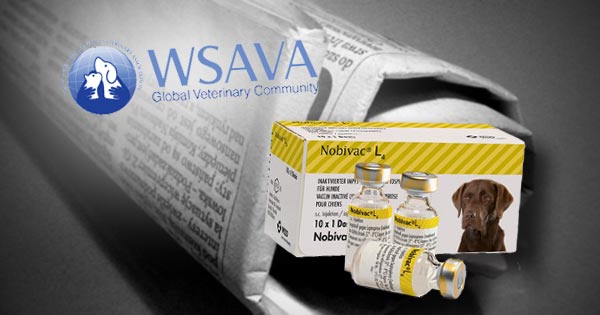 Nobivac deals l4 vaccine