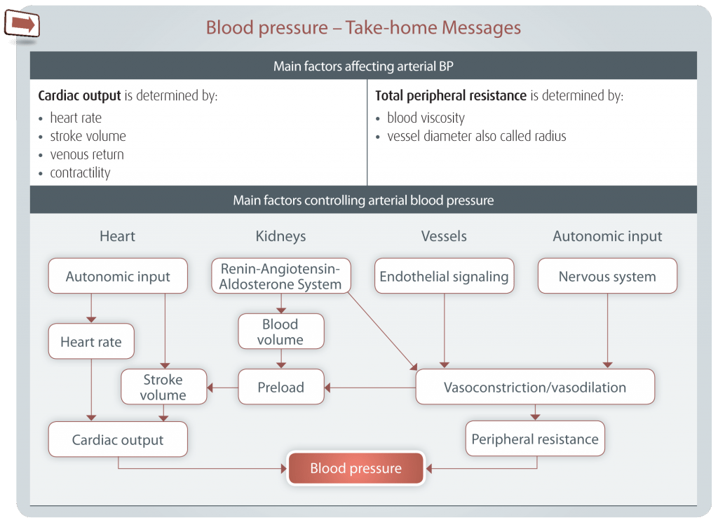 AMODIP_KOL PACK_MAIN FACTORS ARTERIAL BP