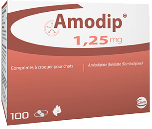 Amodip packshot