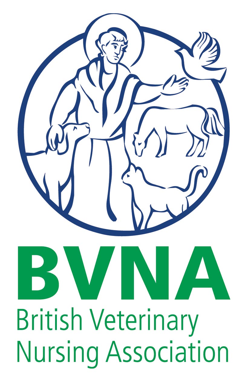 BVNA logo.