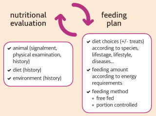Figure 1. Summary of the cyclic process of performing a nutritional evaluation and deciding on a feeding plan for all pets