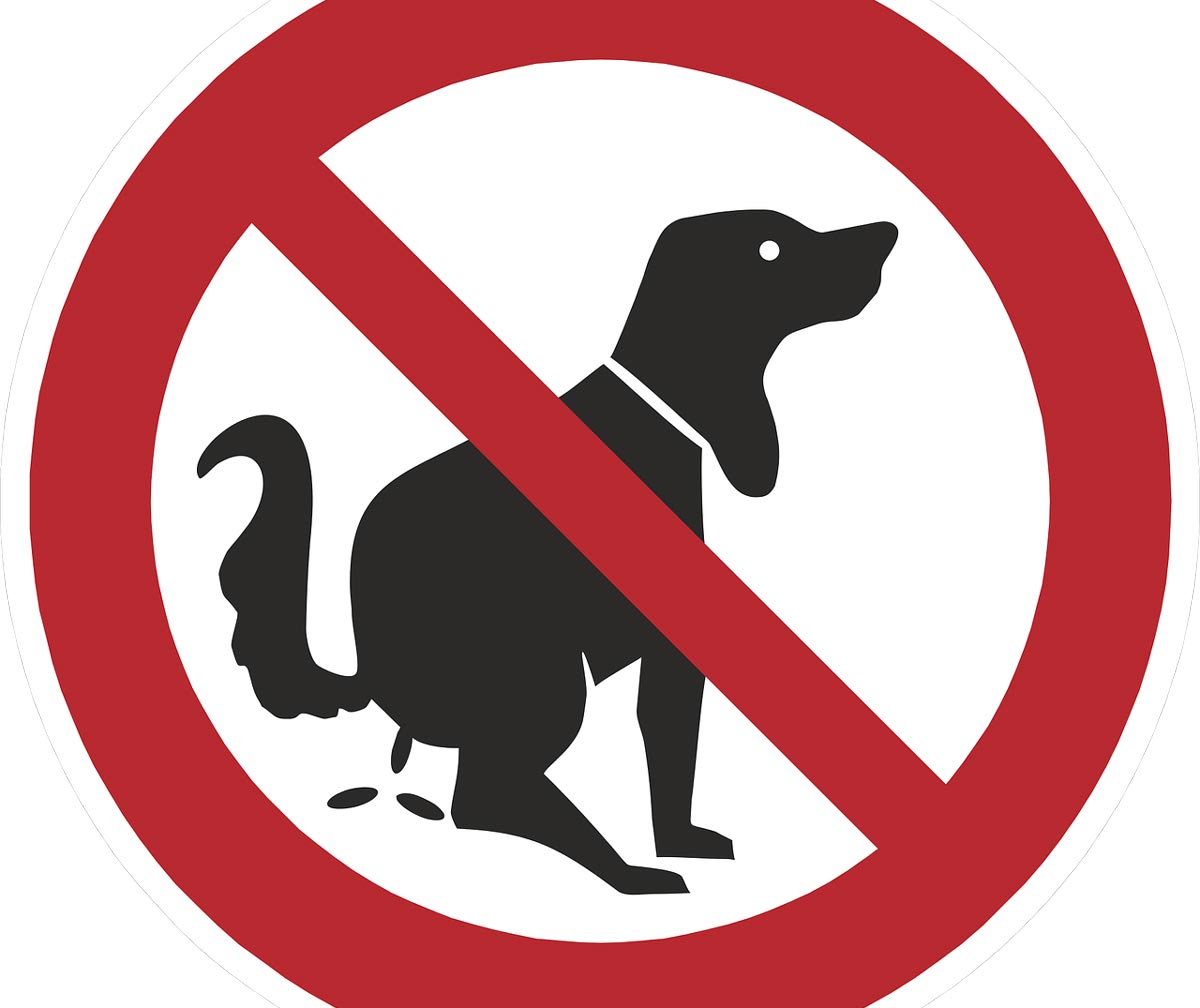Перечеркнутая собака в круге. Табличка выгул собак запрещен. Знак с собаками нельзя. С животными нельзя знак. Иконка не выгуливать животных.