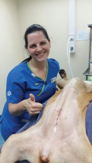 Ann-Marie with her completed wound suture on a dog.