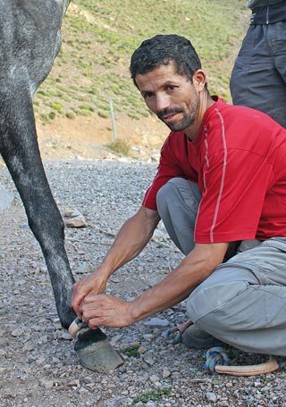 Samir, one of the head muleteers working for Far Frontiers Expeditions, demonstrates the fitting and securing of the humane tethers that have now become mandatory in the industry.