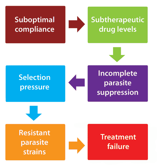 Figure 3. An illustration of how suboptimal drug compliance contributes to the development of drug resistance. The process begins when doses are missed and drug levels become subtherapeutic. This leads to incomplete parasite suppression and generation of resistant parasites by selection of mutant strains. Not only will the treated animal be at risk of failing its current regimen, but it will also be at risk of a developing resistance that may reduce the effectiveness of future treatment and the antiparasitic drug might stop working.