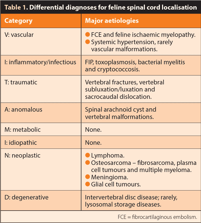 Table 1. Differential diagnoses for feline spinal cord localisation.