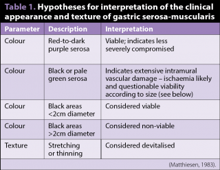 Table 1. Hypotheses for interpretation of the clinical appearance and texture of gastric serosa-muscularis.