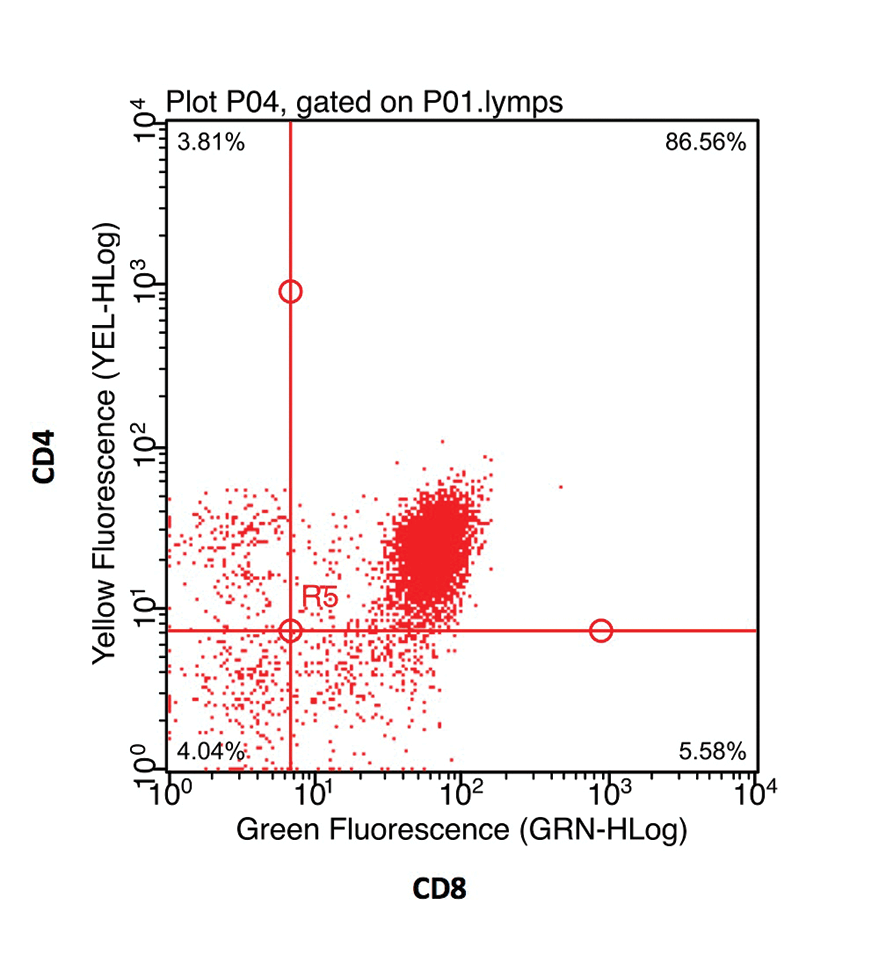 Figure 4. Scatter plot comparing fluorescence of cells for cluster of differentiation (CD) 4 and CD8 antigen expression. The majority of events seen in the upper right quadrant indicate co expression of both CD4 and CD8.