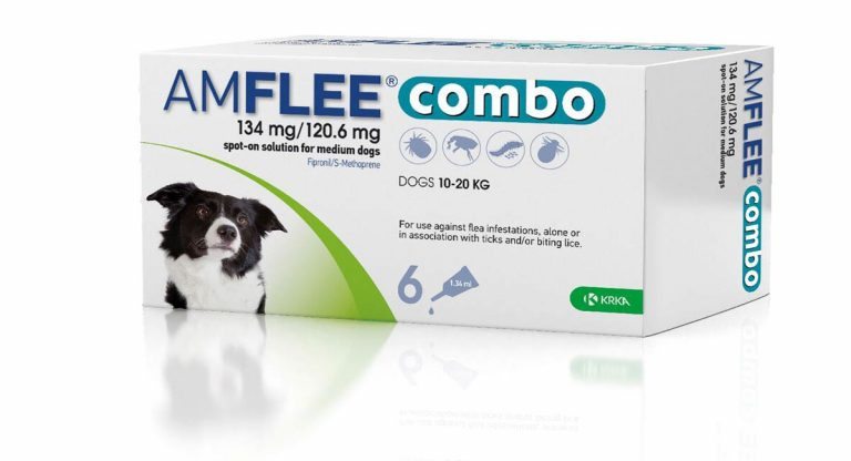 New UK animal health player launches generic flea spot-on | Vet Times