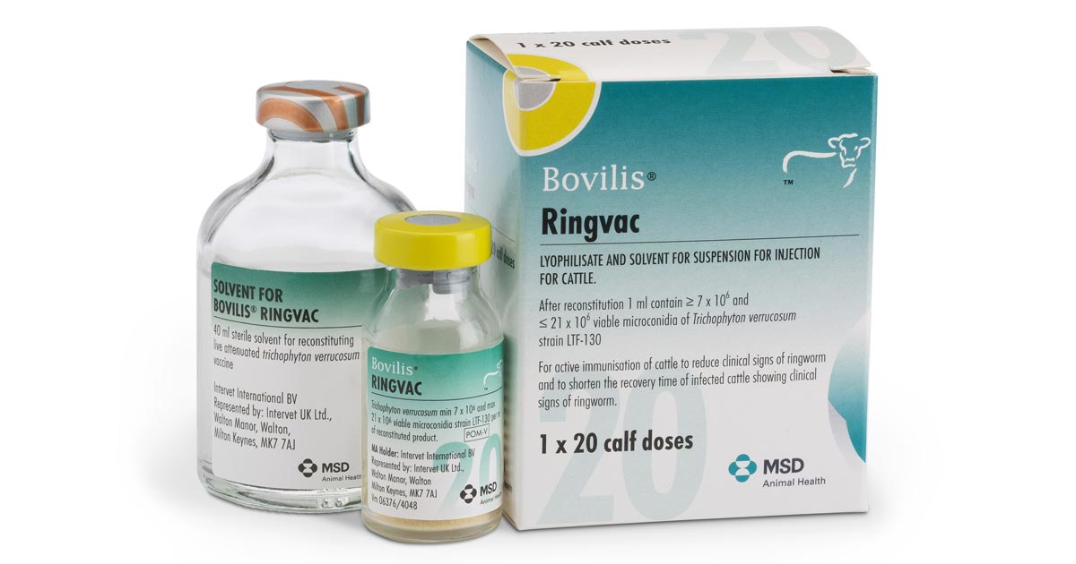 Ringworm In Cows Treatment