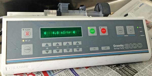 Figure 4. Syringe drivers can be used to administer an accurate amount of fluid in smaller animals over a set period.