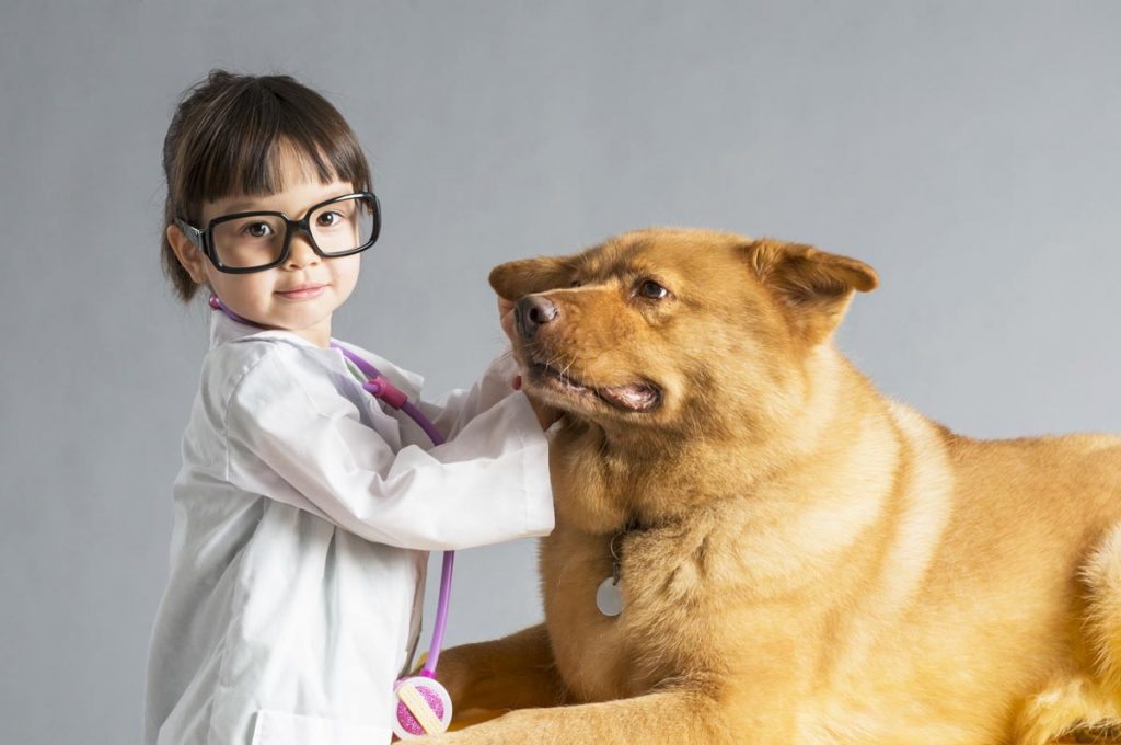 Kid vet.