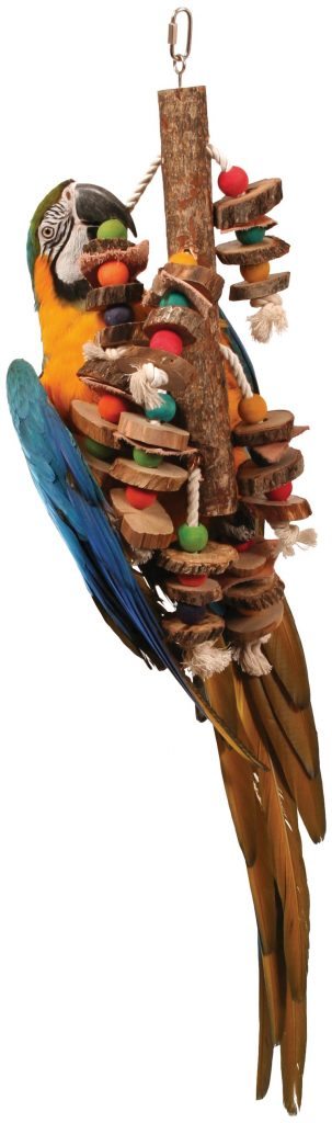 Parrot toys.