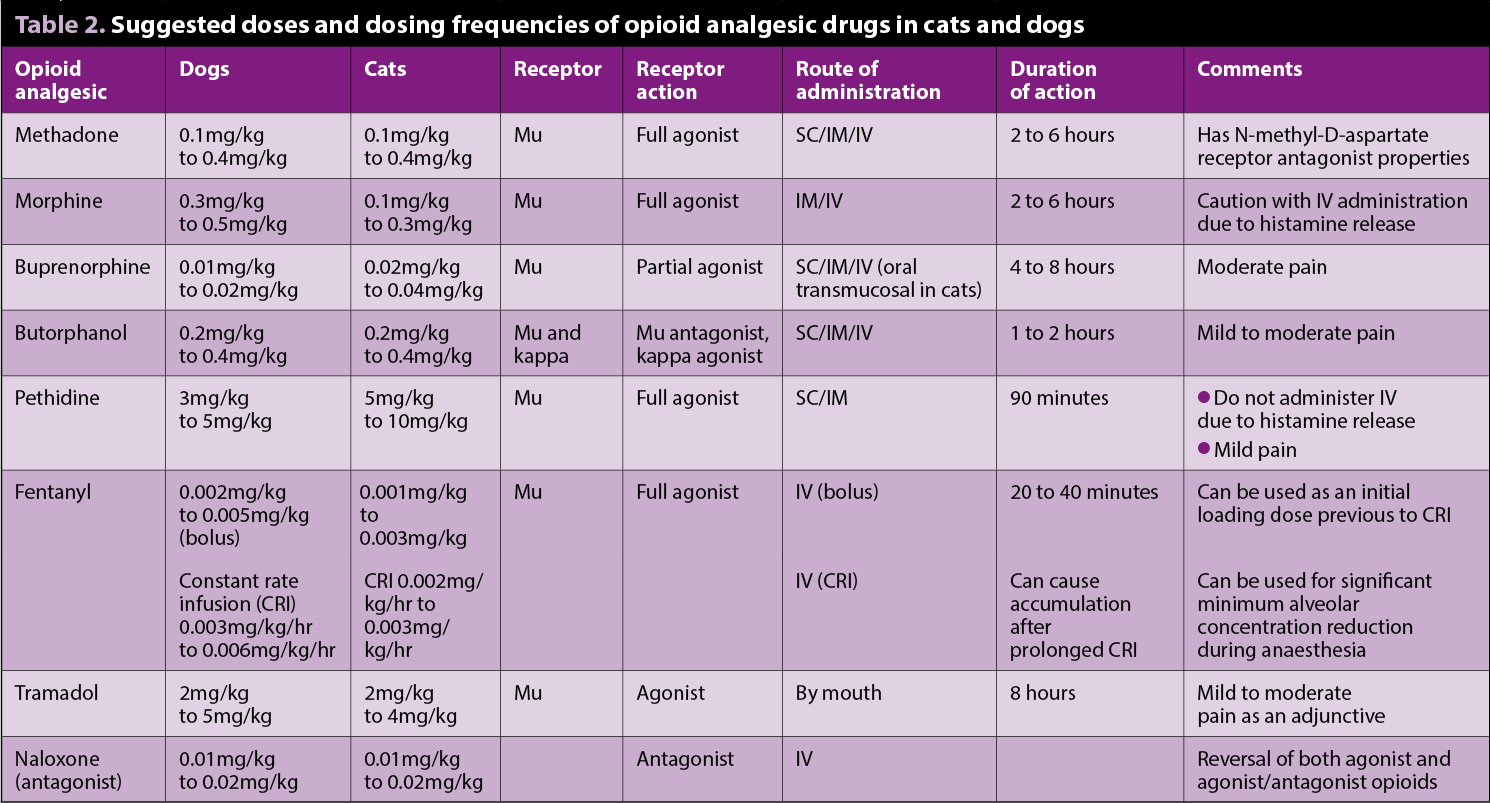 Table 2. Suggested doses and dosing frequencies of opioid analgesic drugs in cats and dogs