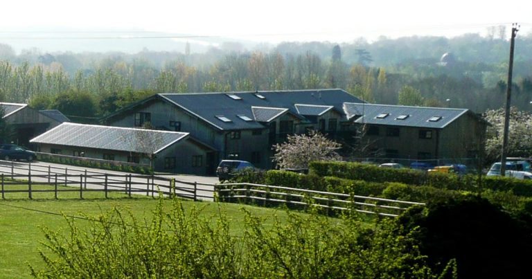 Bell Equine joins CVS | Vet Times