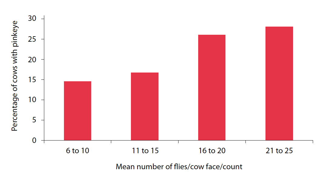 Figure 2. Pinkeye incidence and face fly numbers.