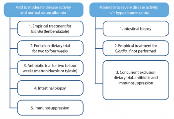 Figure 2. Treatment of chronic enteropathy based on clinical severity.
